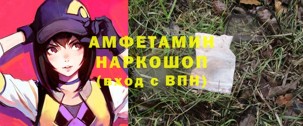 гидра Каменка