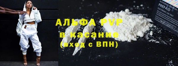 гидра Каменка