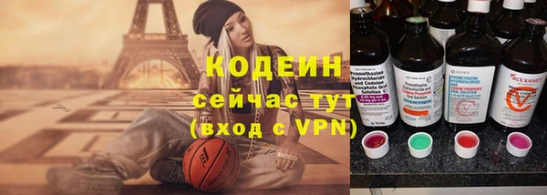 гидра Каменка
