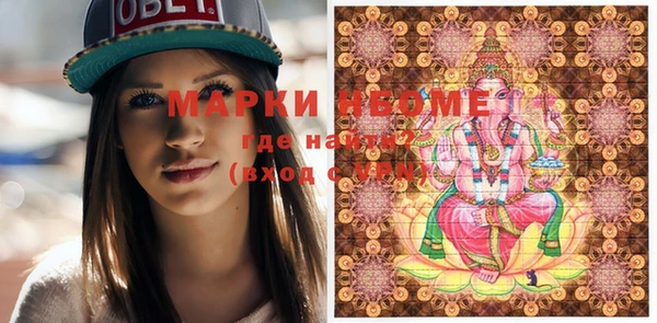 гидра Каменка