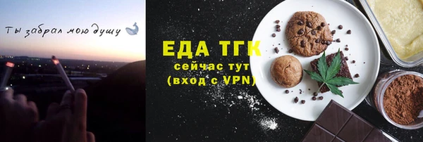гидра Каменка