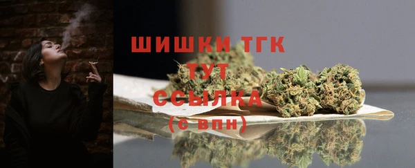 сатива Касимов