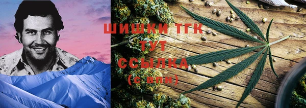 гидра Каменка