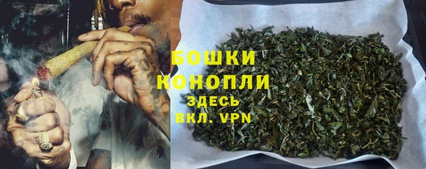 гидра Каменка