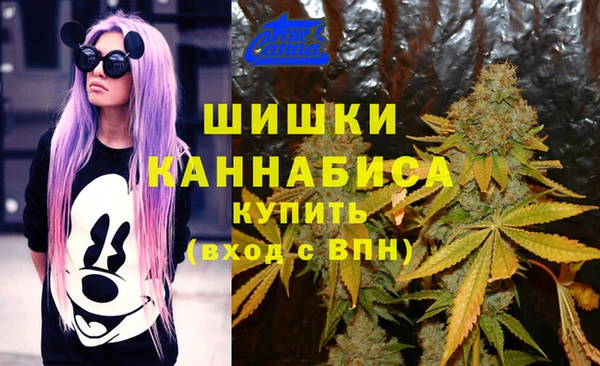 стаф Карпинск