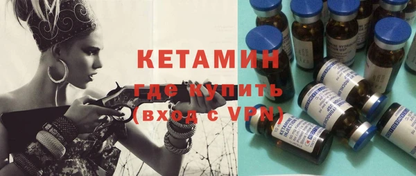 гидра Каменка