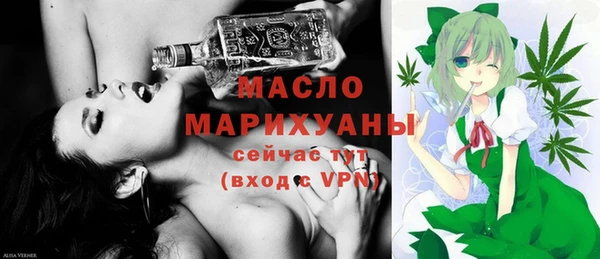 гидра Каменка