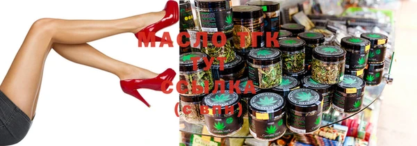 гидра Каменка
