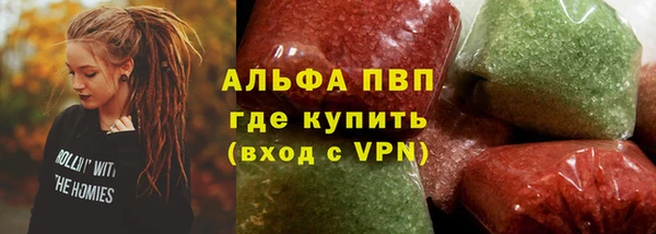 гидра Каменка