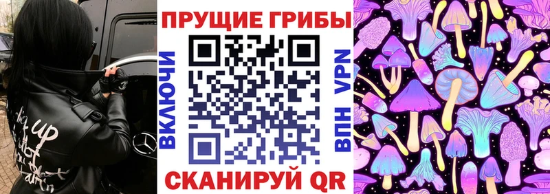 Купить закладки  Соль-Илецк  Галлюциногенные грибы прущие грибы 